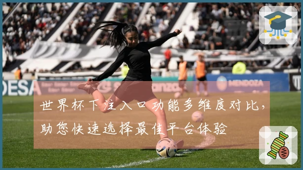 世界杯下注入口功能多维度对比，助您快速选择最佳平台体验